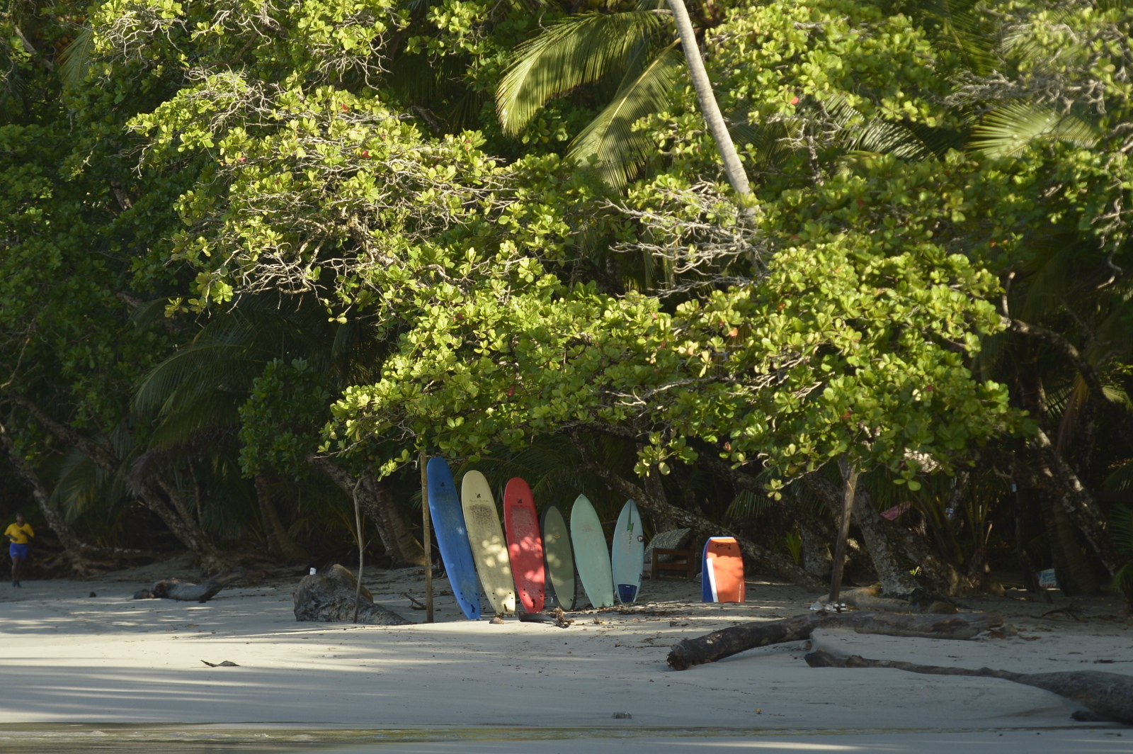 Colorful used surfboards lined up for sale at Da Hui Surf School in Manuel Antonio, Costa Rica